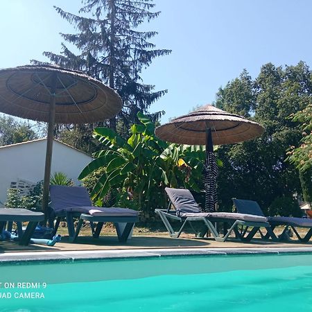 Bed and Breakfast Mas Des Vignes Piscine Chauffee Le Champ-Saint-Pere Екстер'єр фото