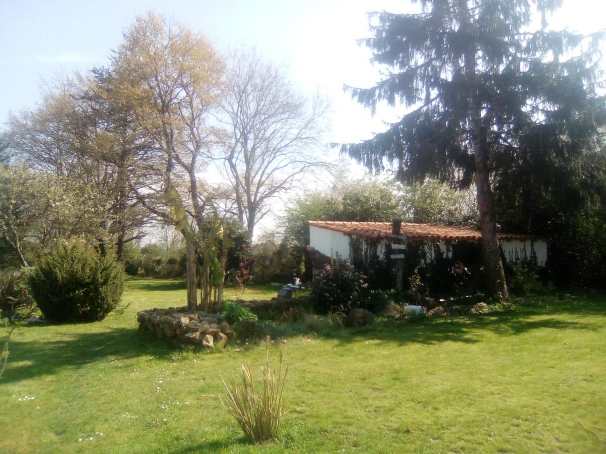 Bed and Breakfast Mas Des Vignes Piscine Chauffee Le Champ-Saint-Pere Екстер'єр фото